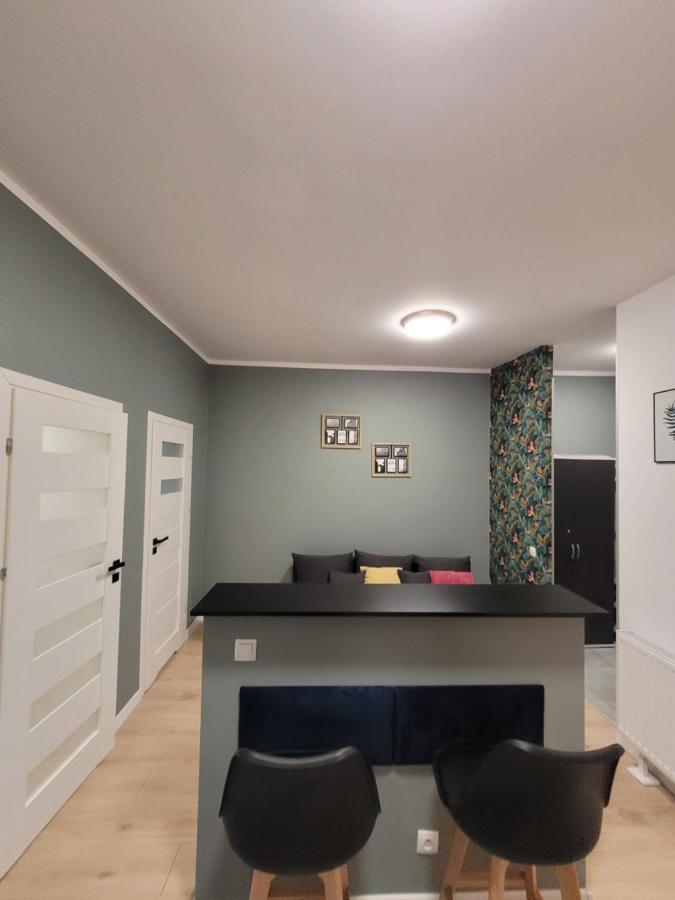 Apartamenty Cieplicka 20 Jelenia Gora Bagian luar foto